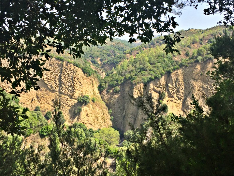 The Park At Calabria